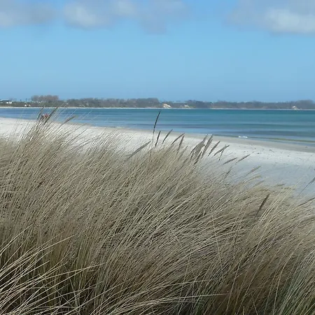 Urlaubsinsel 아파트 *